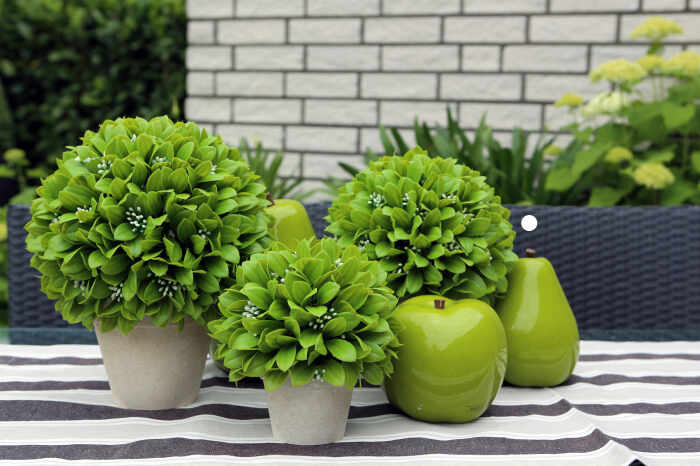 Planta decorativa la ghiveci de exterior Leaf Ballin, verde, 24x22 cm