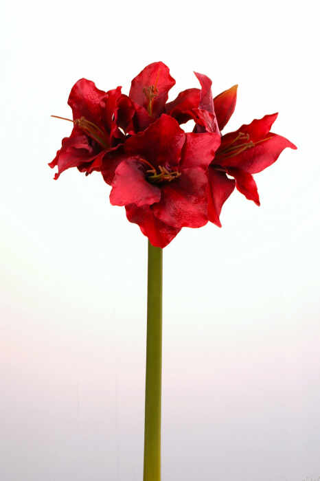 Floare artificiala Amaryllis, Fibre artificiale, Rosu inchis, 61 cm