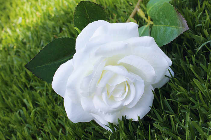Trandafir artificial Flora, fibre sintetice, alb, 44 cm