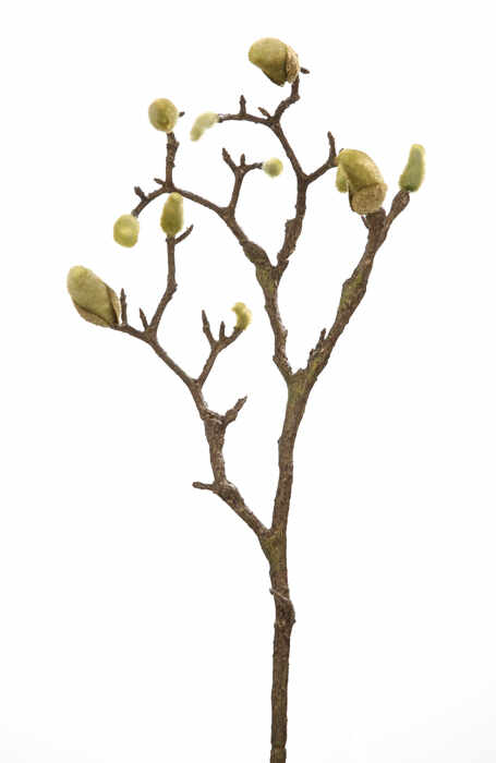 Crenguta flori artificiale Magnolia, Fibre artificiale, Maro inchis Verde, 101.50 cm