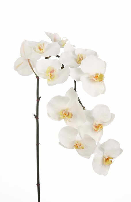 Floare artificiala orhidee, Fibre artificiale, Alb, 105 cm