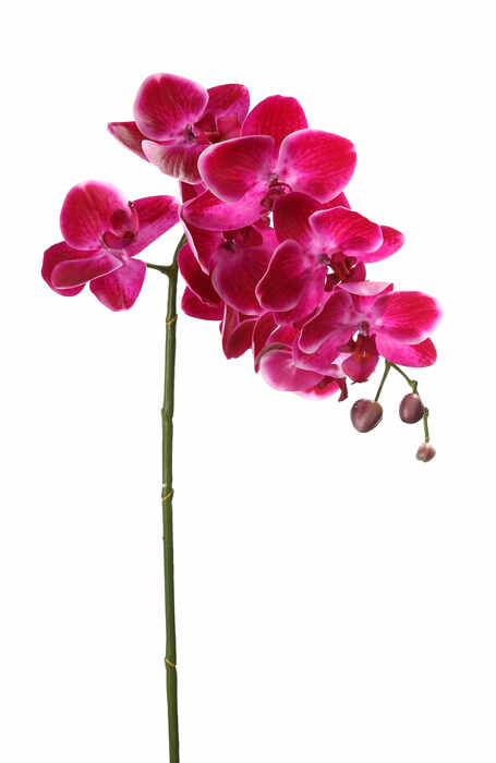 Floare artificiala orhidee, Fibre artificiale, Violet, 75 cm