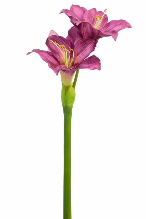 Floare Amaryllis Purple, Plastic Sintetic, Mov, 15x22x86 cm
