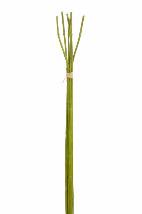 Bambus, Plastic, Verde, 110x10x5 cm