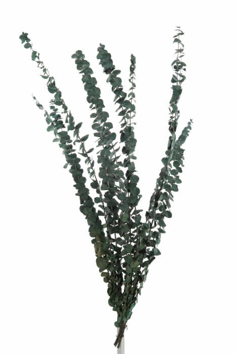Buchet eucalipt artificial, Rachita Bambus, Verde, 18x18x70 cm