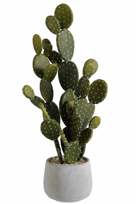Cactus , Ciment, Verde, 21x21x66 cm