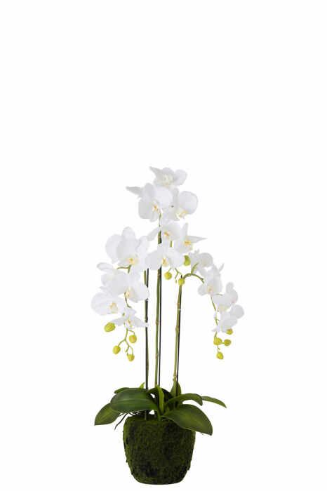 Orhidee artificiala, Plastic, Alb, 26x24x78 cm