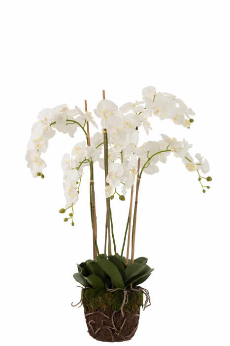 Orhidee artificiala, Textil, Alb, 60x53x104 cm