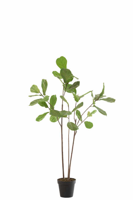 Planta in ghiveci, Textil, Verde, 75x70x175 cm