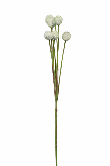 Floare artificiala CRASPEDIA, Fibre sintetice, Crem, 60 cm