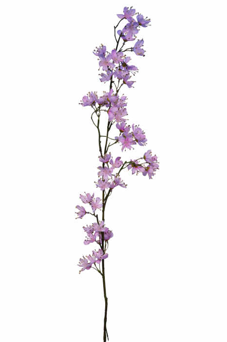 Floare artificiala KIRSCHBLUTE, Fibre sintetice, Roz, 109 cm