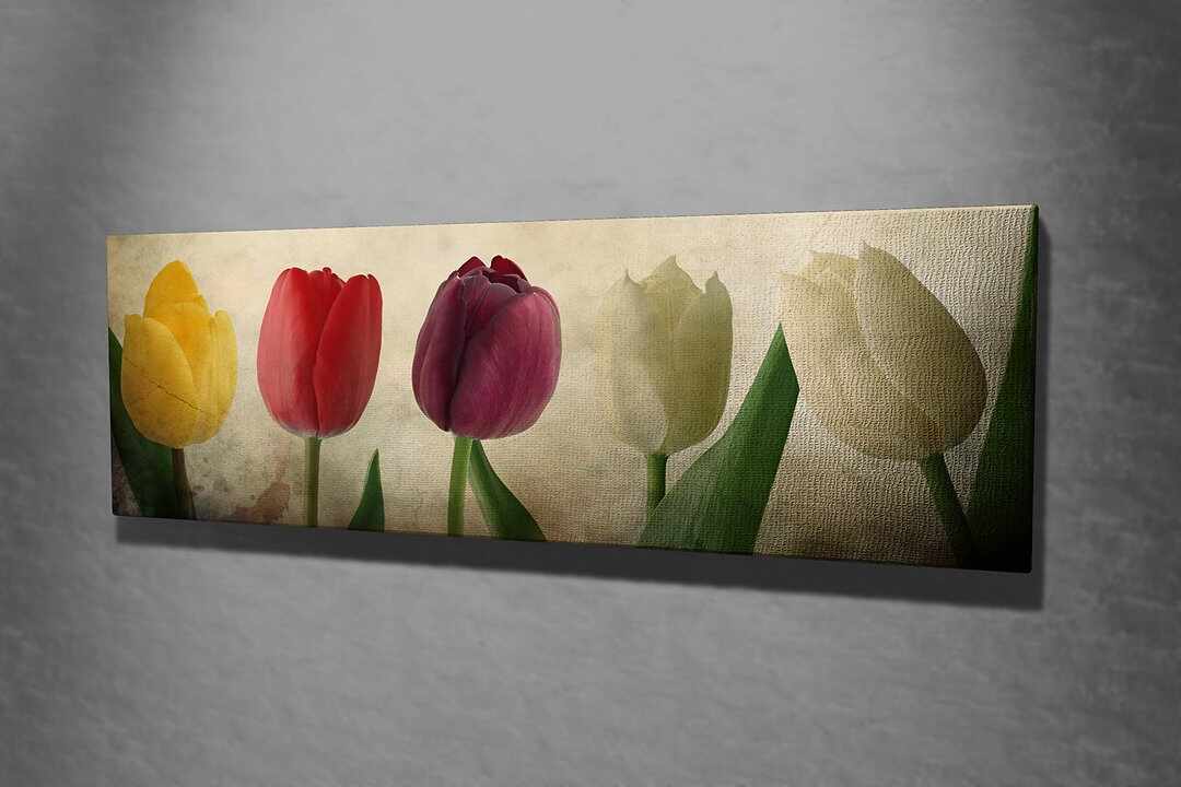 Tablou Canvas Picsie Tulip PC147 Multicolor, 80 x 30 cm