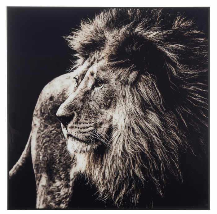 Tablou inramat Lion, Sticla, Alb Negru, 101.56x2.5x100.5 cm