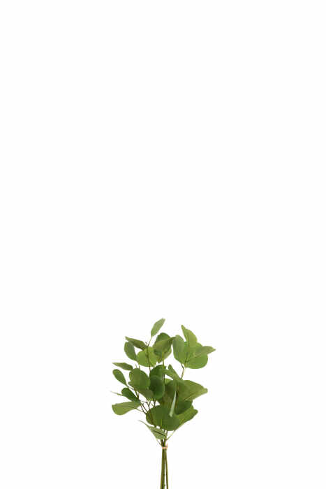Planta, Textil, Verde, 30x5x52