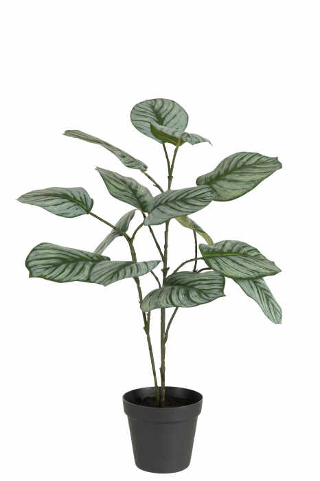 Planta, Material sintetic, Verde, 12.5x12.5x63