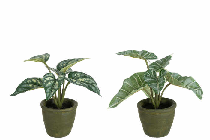 Set 2 plante artificiale, Material sintetic, Verde, 22x22x20