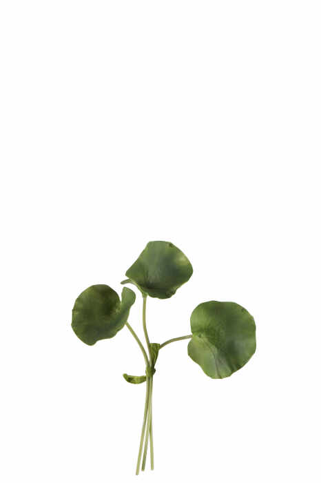 Planta, Material sintetic, Verde, 16x12x23