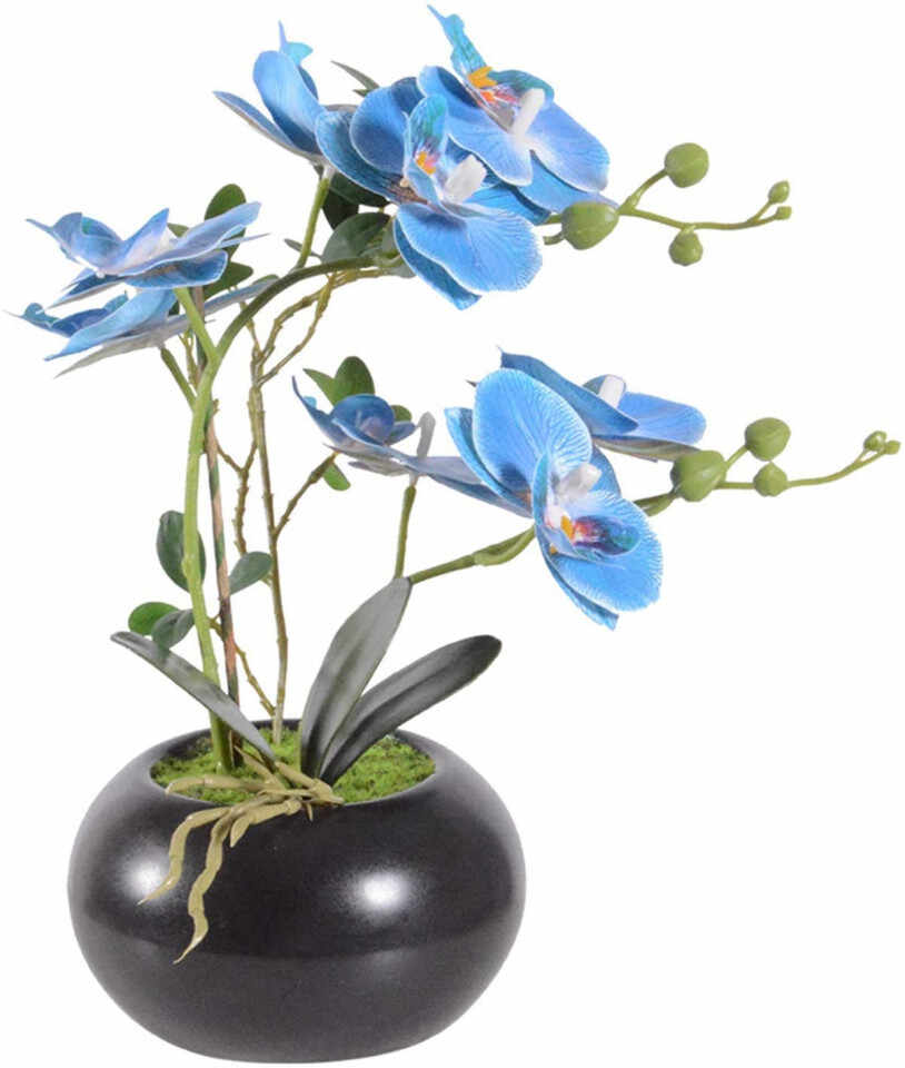 Floare artificiala Phalaenopsis Vivilinen, plastic, verde/albastru/negru, 15 x 9 x 32 cm