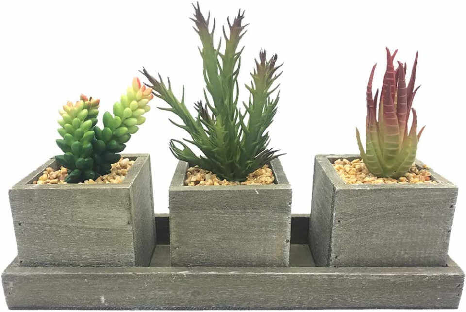 Set de 3 plante artificiale cu ghiveci Aisamco, plastic/lemn, gri/verde, 29 x 20 x 9 cm