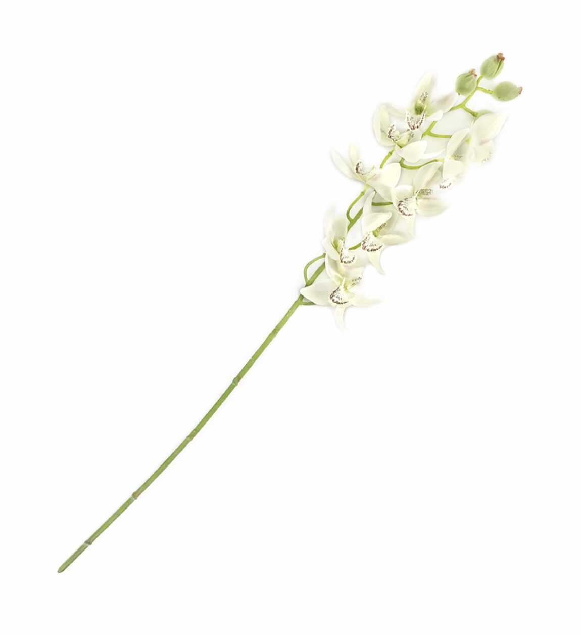 Fir floare artificiala Grace Orchid Ivoir, H76 cm