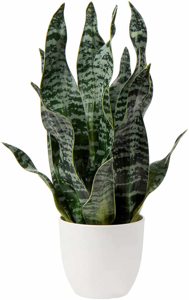 Planta artificiala Briful, verde inchis/alb, 12,5 x 42 cm