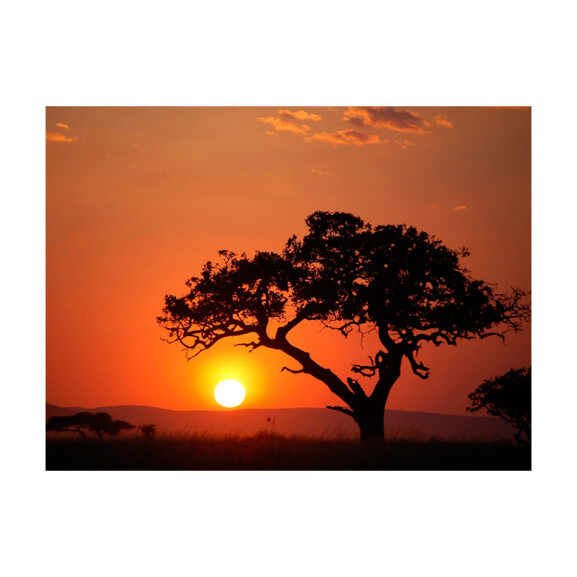 Fototapet Africa: Sunset