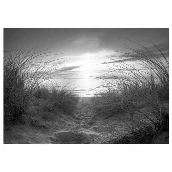 Fototapet beach (black and white)