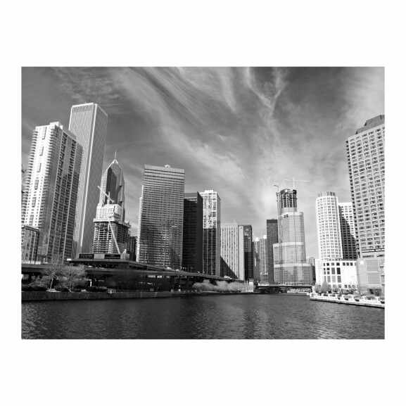 Fototapet Chicago Skyline (Black And White)