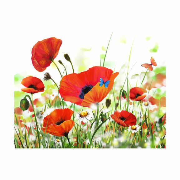 Fototapet Country Poppies
