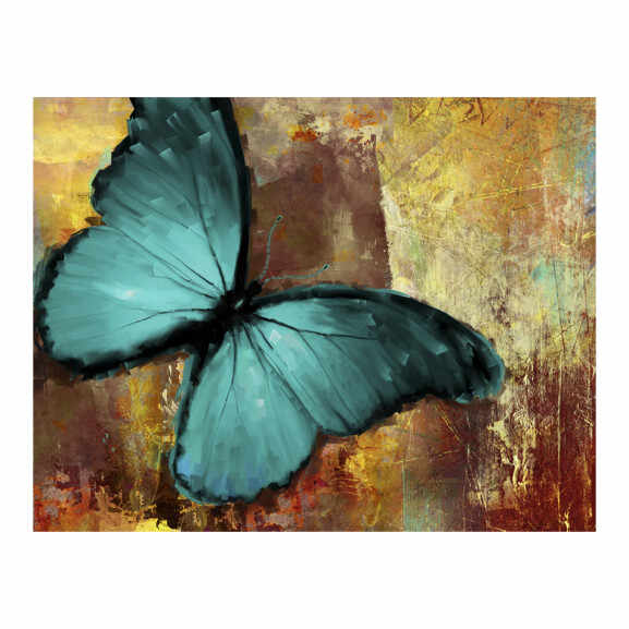 Fototapet Painted Butterfly