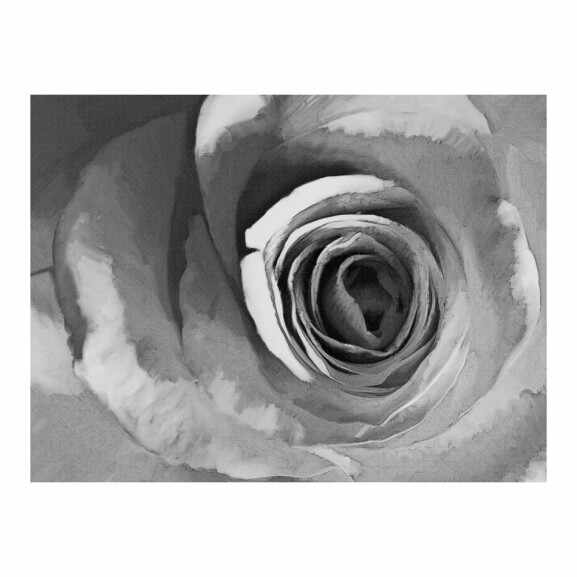 Fototapet Paper Rose
