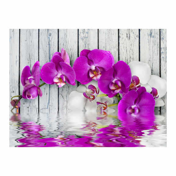 Fototapet Violet Orchids With Water Reflexion
