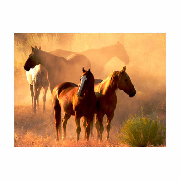 Fototapet Wild Horses Of The Steppe