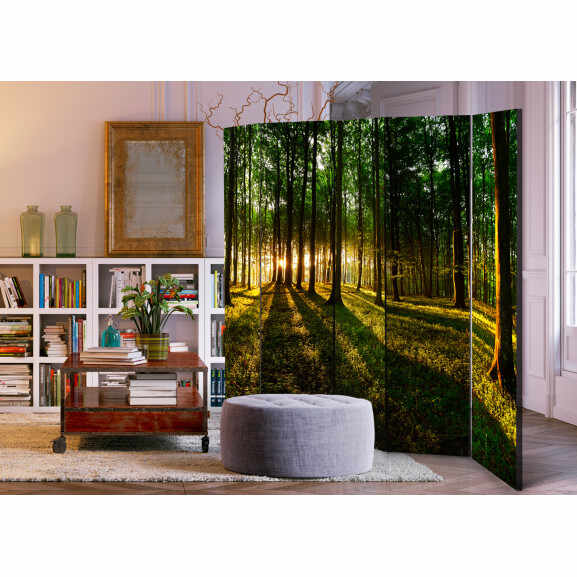 Paravan Morning In The Forest Ii [Room Dividers] 225 cm x 172 cm