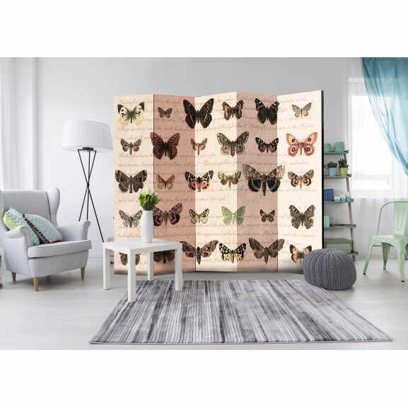 Paravan Retro Style: Butterflies Ii [Room Dividers] 225 cm x 172 cm