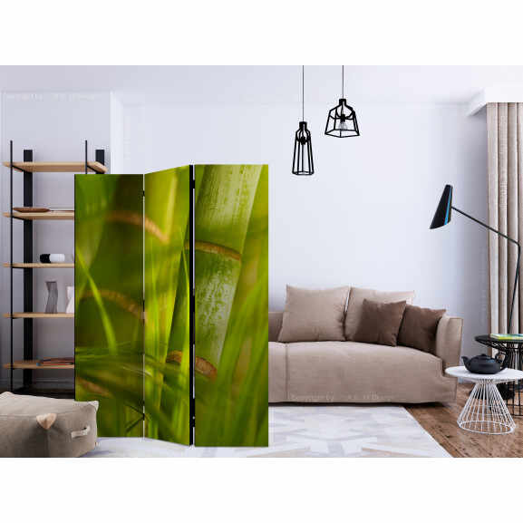Paravan Bamboo Nature Zen [Room Dividers] 135 cm x 172 cm