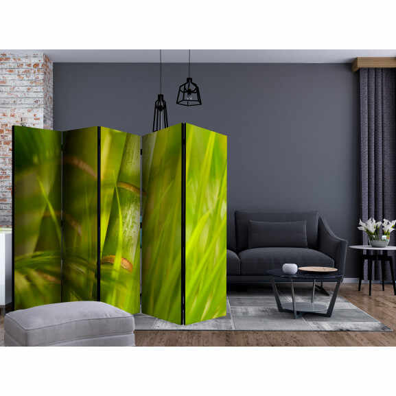 Paravan Bamboo Nature Zen Ii [Room Dividers] 225 cm x 172 cm