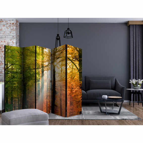 Paravan Forest Colours Ii [Room Dividers] 225 cm x 172 cm