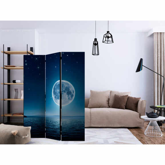Paravan Moonlit Night [Room Dividers] 135 cm x 172 cm