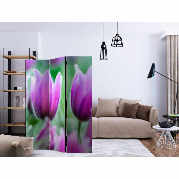 Paravan Purple Spring Tulips [Room Dividers] 135 cm x 172 cm