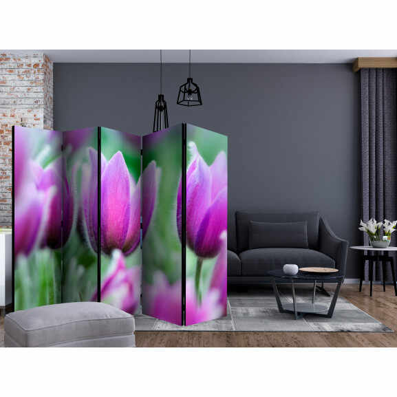 Paravan Purple Spring Tulips Ii [Room Dividers] 225 cm x 172 cm