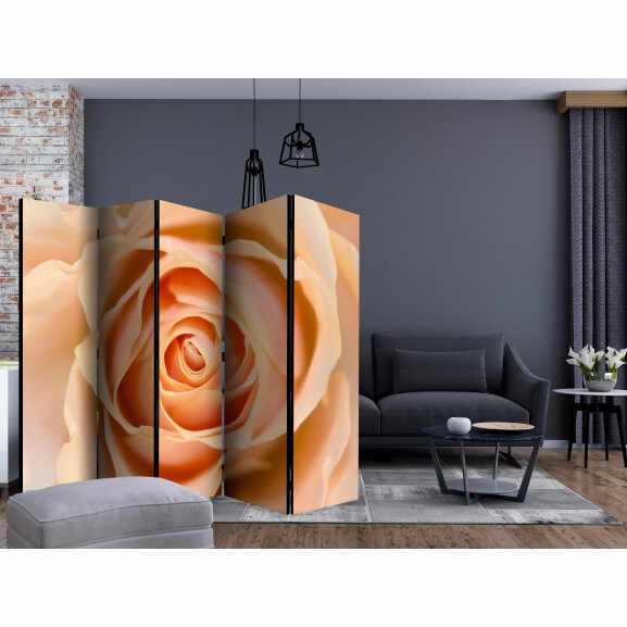Paravan Peach-Colored Rose Ii [Room Dividers] 225 cm x 172 cm