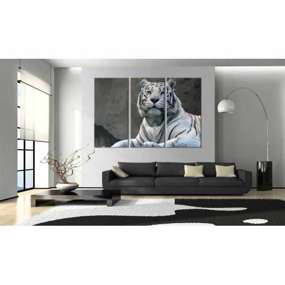 Tablou White Tiger