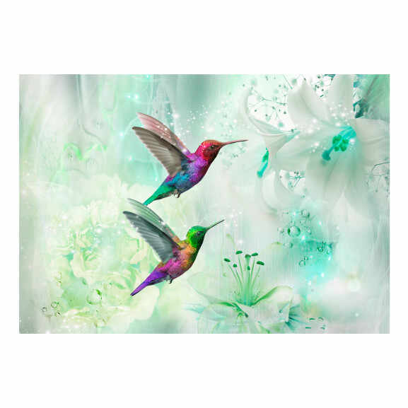 Fototapet autoadeziv Colourful Hummingbirds (Green)