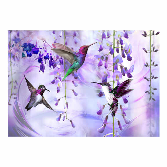 Fototapet autoadeziv Flying Hummingbirds (Violet)