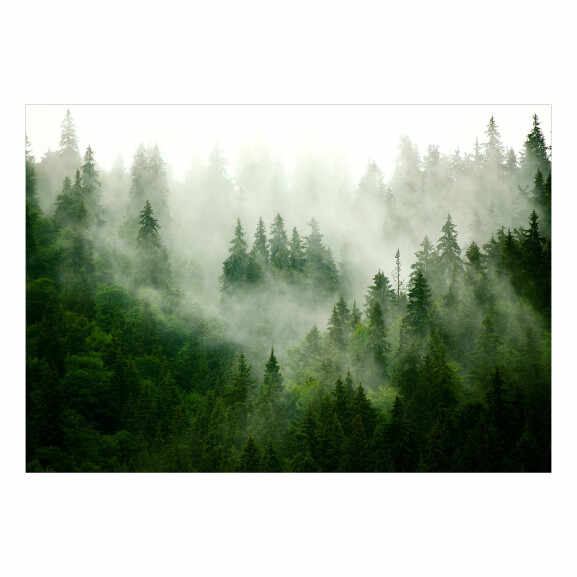 Fototapet Mountain Forest (Green)