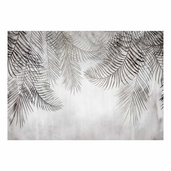 Fototapet Night Palm Trees