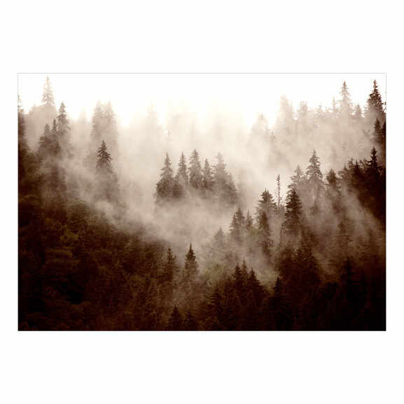 Fototapet autoadeziv Mountain Forest (Sepia)